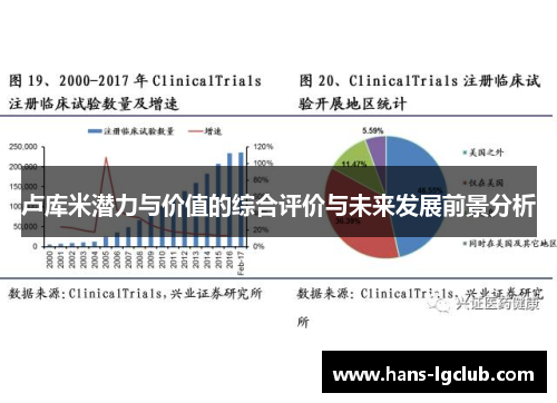 卢库米潜力与价值的综合评价与未来发展前景分析