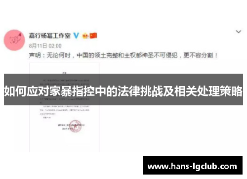 如何应对家暴指控中的法律挑战及相关处理策略