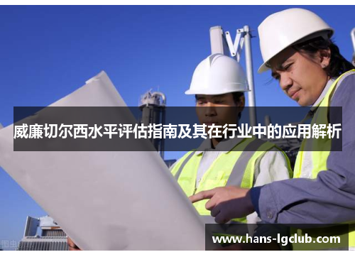 威廉切尔西水平评估指南及其在行业中的应用解析