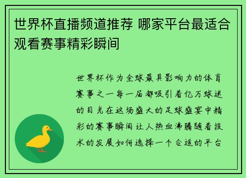 世界杯直播频道推荐 哪家平台最适合观看赛事精彩瞬间