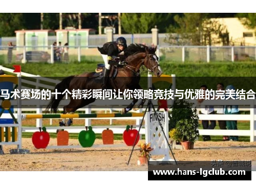 马术赛场的十个精彩瞬间让你领略竞技与优雅的完美结合