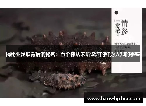 揭秘亚足联背后的秘密：五个你从未听说过的鲜为人知的事实